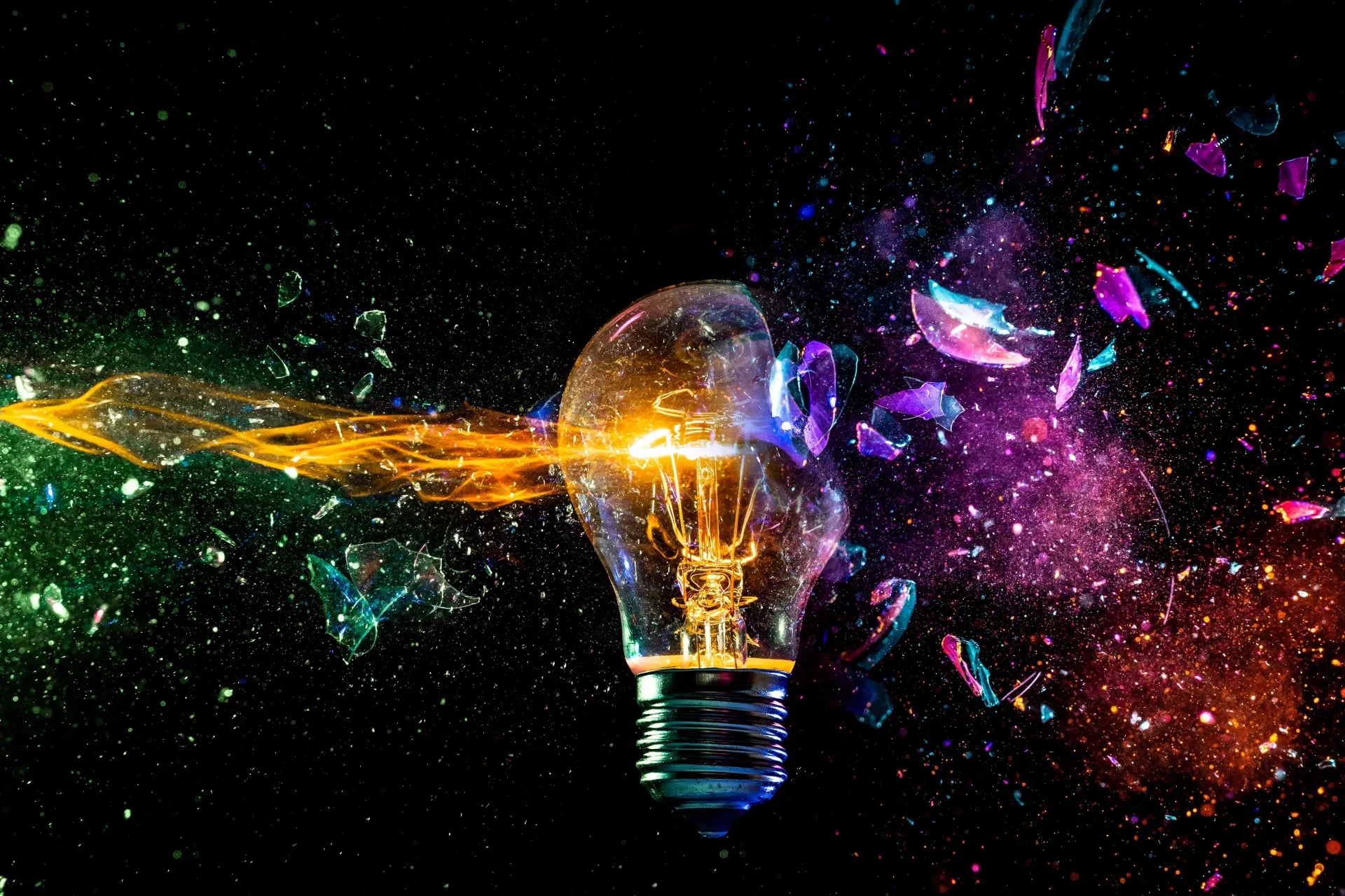 shutterstock_2468079835 shutterstock_2468079835